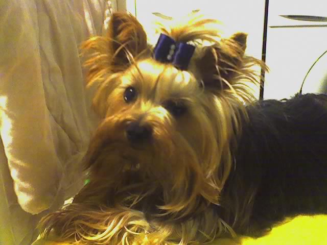Power Flower de Roller King